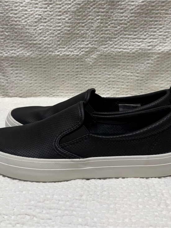 Sperry Shoes - Sperry | Slip-On Casual Sneakers - Black | Size = 8